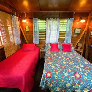 Hostal Judy House And